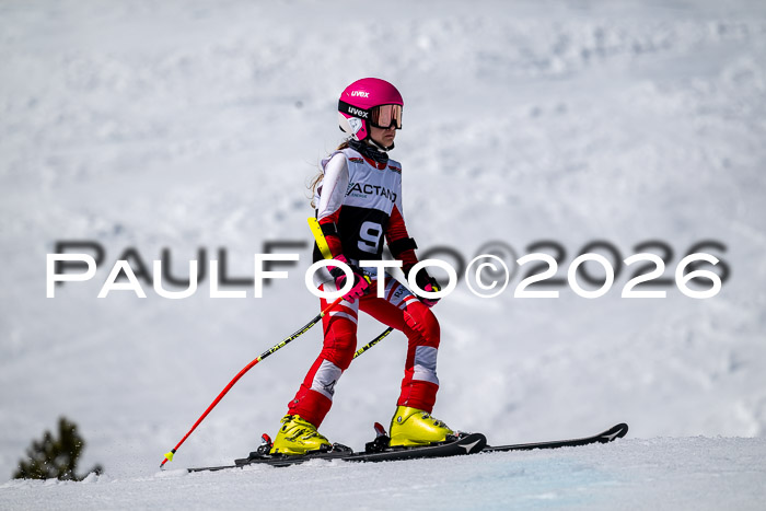 DSV - Actanol Deutscher Schülercup U12 Finale RSX 2026