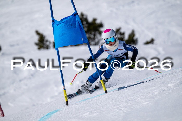 DSV - Actanol Deutscher Schülercup U12 Finale RSX 2026