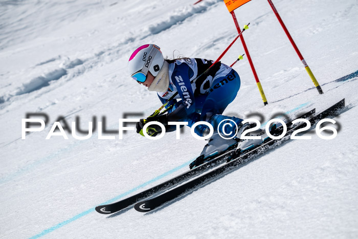 DSV - Actanol Deutscher Schülercup U12 Finale RSX 2026