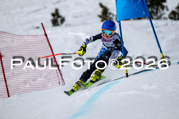 DSV - Actanol Deutscher Schülercup U12 Finale RSX 2026