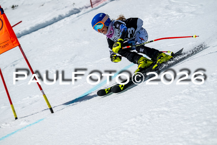 DSV - Actanol Deutscher Schülercup U12 Finale RSX 2026