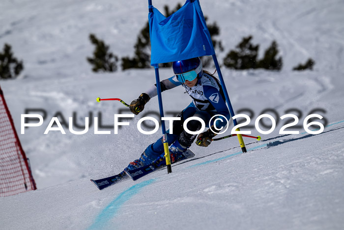 DSV - Actanol Deutscher Schülercup U12 Finale RSX 2026