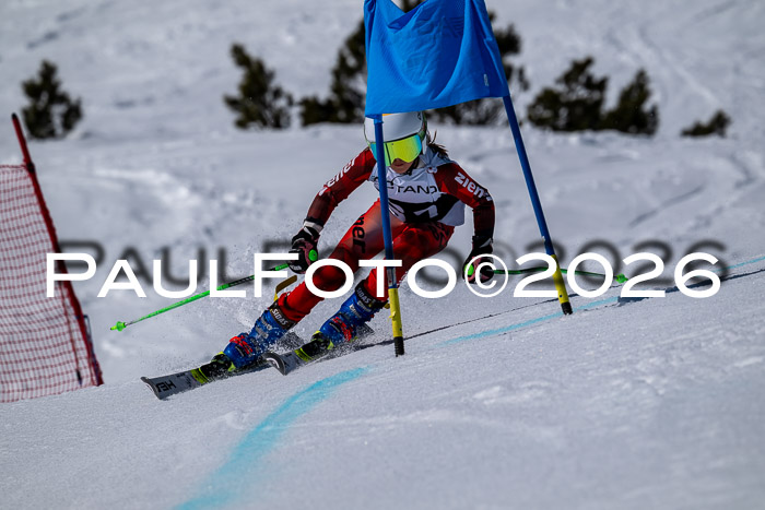 DSV - Actanol Deutscher Schülercup U12 Finale RSX 2026