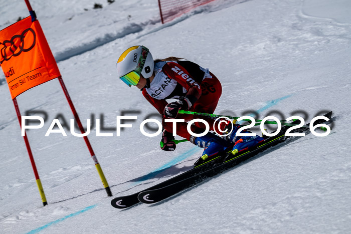 DSV - Actanol Deutscher Schülercup U12 Finale RSX 2026