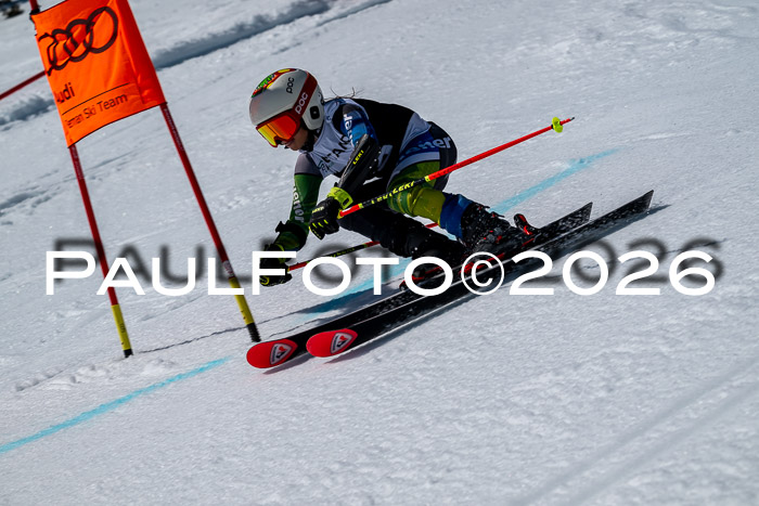 DSV - Actanol Deutscher Schülercup U12 Finale RSX 2026