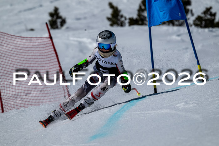 DSV - Actanol Deutscher Schülercup U12 Finale RSX 2026