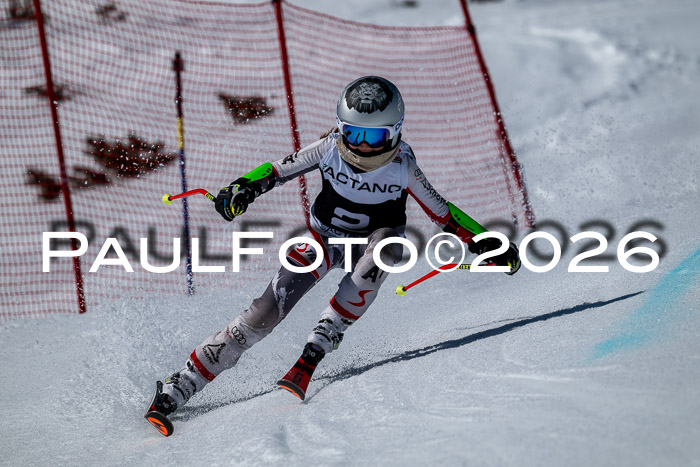 DSV - Actanol Deutscher Schülercup U12 Finale RSX 2026