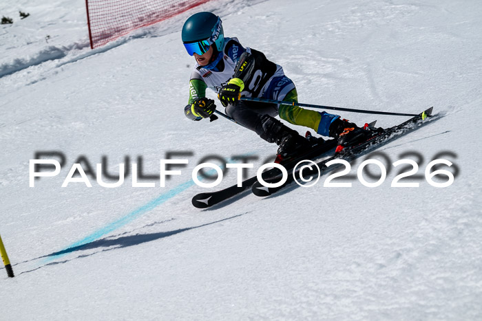 DSV - Actanol Deutscher Schülercup U12 Finale RSX 2026