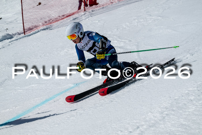 DSV - Actanol Deutscher Schülercup U12 Finale RSX 2026