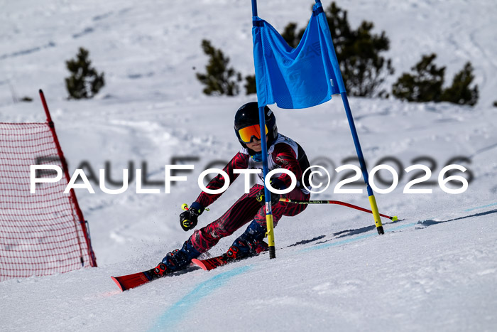 DSV - Actanol Deutscher Schülercup U12 Finale RSX 2026