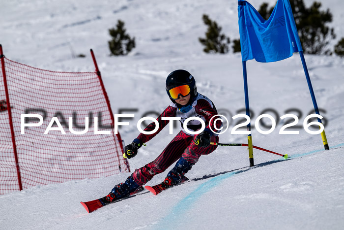 DSV - Actanol Deutscher Schülercup U12 Finale RSX 2026