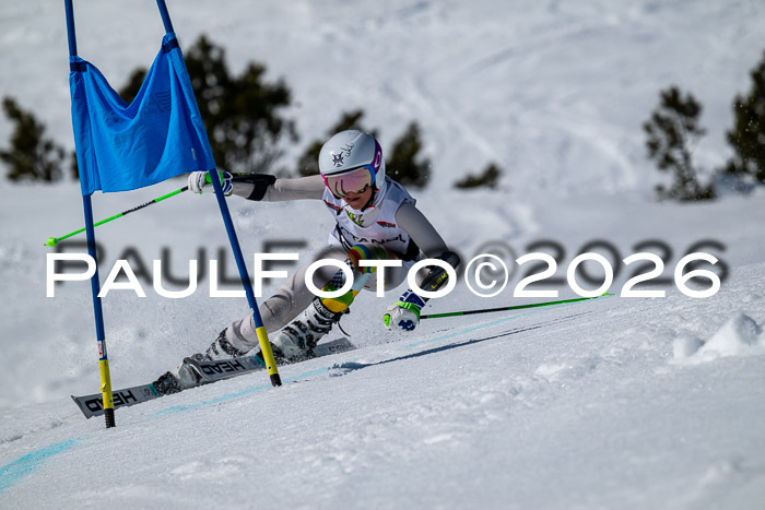 DSV - Actanol Deutscher Schülercup U12 Finale RSX 2026