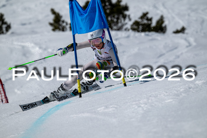 DSV - Actanol Deutscher Schülercup U12 Finale RSX 2026