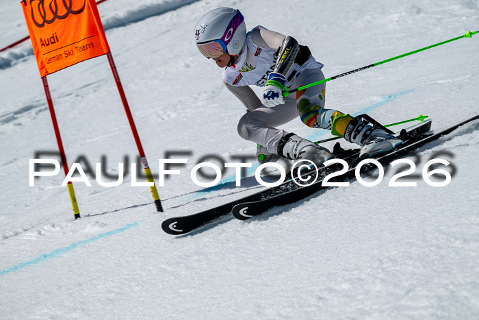 DSV - Actanol Deutscher Schülercup U12 Finale RSX 2026