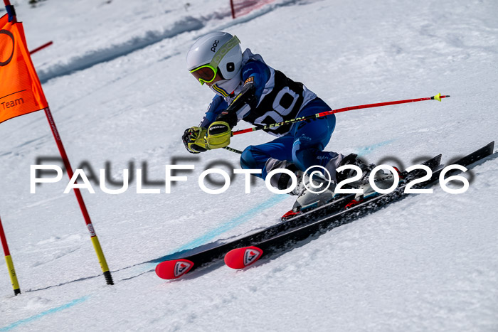 DSV - Actanol Deutscher Schülercup U12 Finale RSX 2026