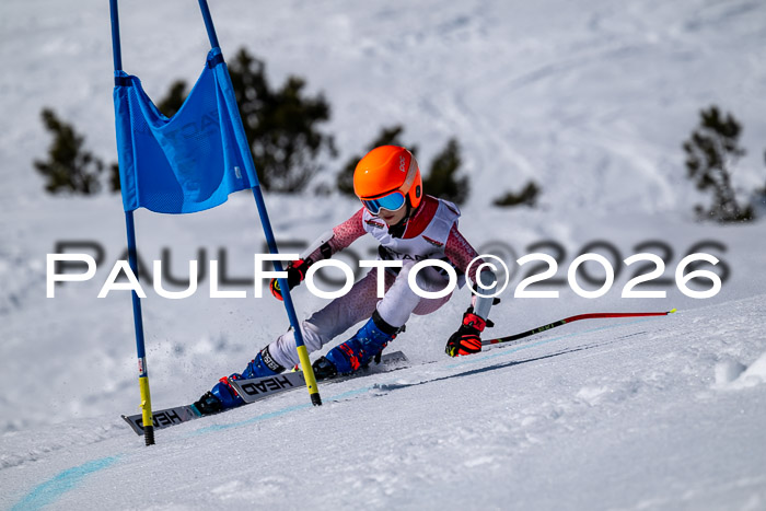 DSV - Actanol Deutscher Schülercup U12 Finale RSX 2026