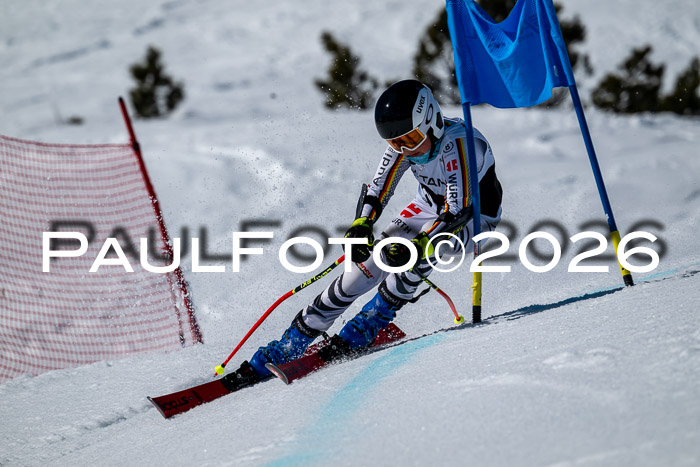 DSV - Actanol Deutscher Schülercup U12 Finale RSX 2026