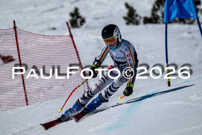 DSV - Actanol Deutscher Schülercup U12 Finale RSX 2026