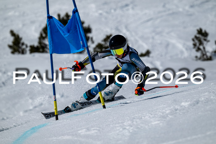 DSV - Actanol Deutscher Schülercup U12 Finale RSX 2026