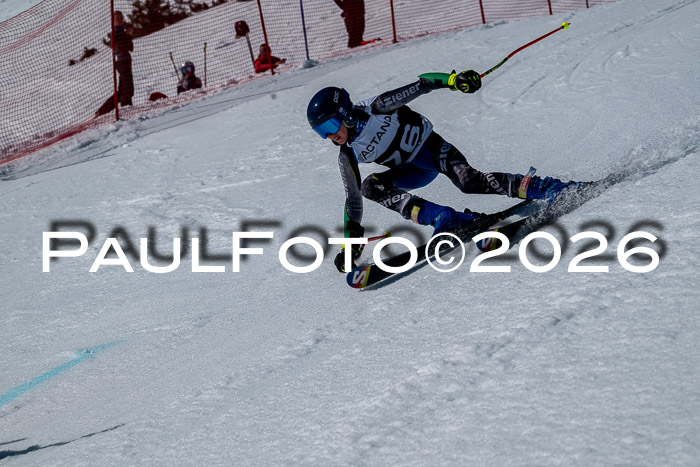 DSV - Actanol Deutscher Schülercup U12 Finale RSX 2026