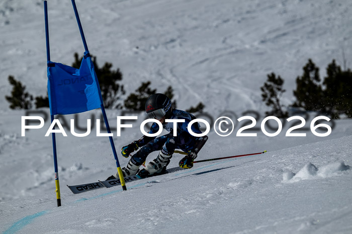 DSV - Actanol Deutscher Schülercup U12 Finale RSX 2026