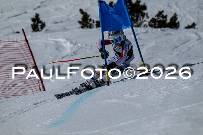 DSV - Actanol Deutscher Schülercup U12 Finale RSX 2026