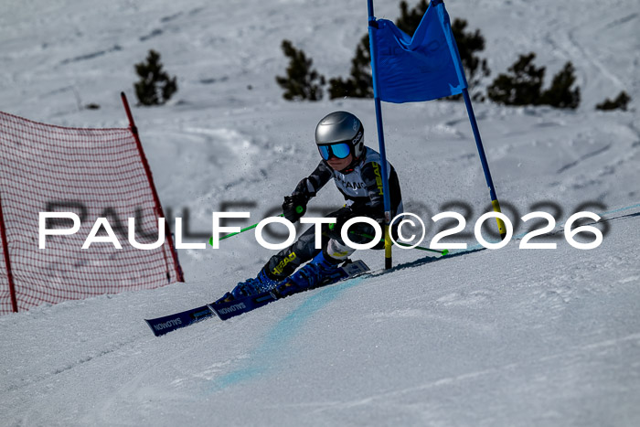 DSV - Actanol Deutscher Schülercup U12 Finale RSX 2026