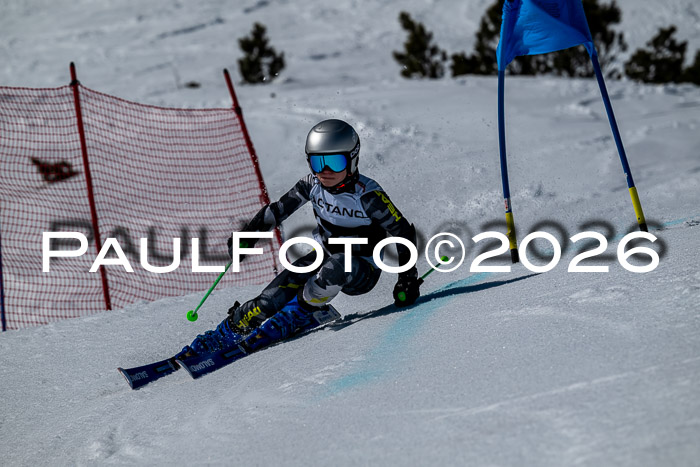 DSV - Actanol Deutscher Schülercup U12 Finale RSX 2026