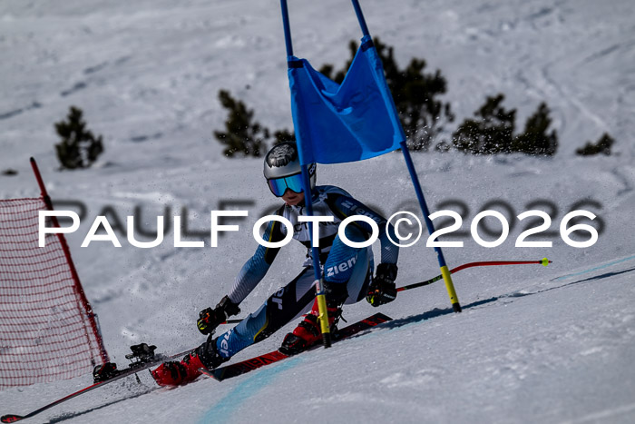 DSV - Actanol Deutscher Schülercup U12 Finale RSX 2026