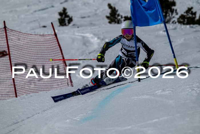 DSV - Actanol Deutscher Schülercup U12 Finale RSX 2026