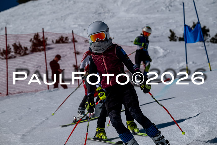 DSV - Actanol Deutscher Schülercup U12 Finale RSX 2026