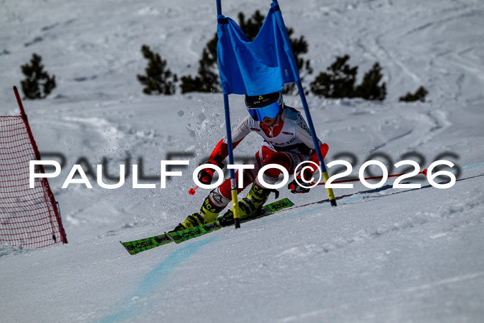 DSV - Actanol Deutscher Schülercup U12 Finale RSX 2026