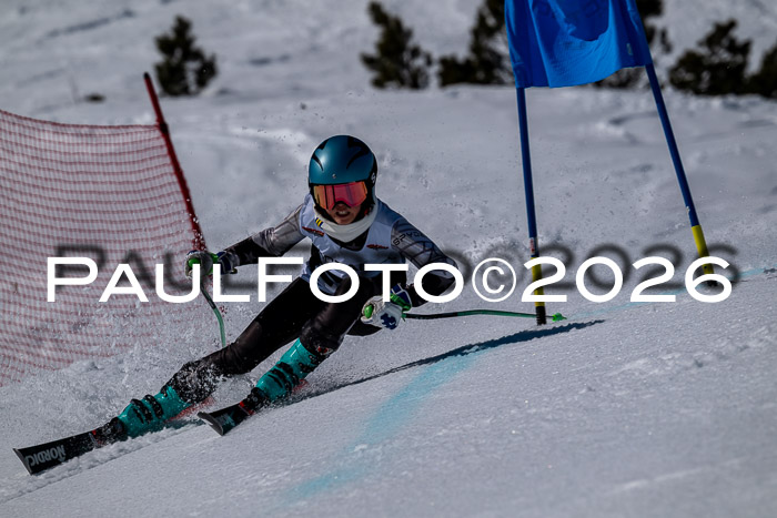 DSV - Actanol Deutscher Schülercup U12 Finale RSX 2026