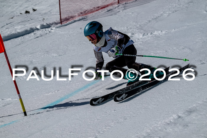 DSV - Actanol Deutscher Schülercup U12 Finale RSX 2026