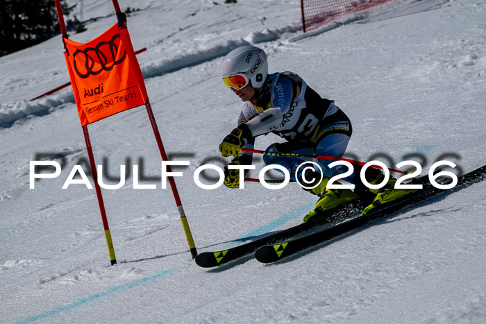 DSV - Actanol Deutscher Schülercup U12 Finale RSX 2026