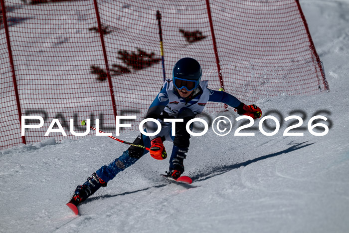 DSV - Actanol Deutscher Schülercup U12 Finale RSX 2026