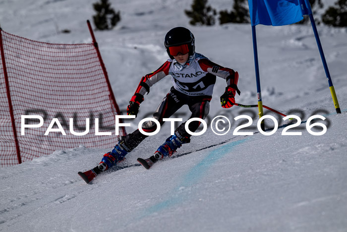 DSV - Actanol Deutscher Schülercup U12 Finale RSX 2026