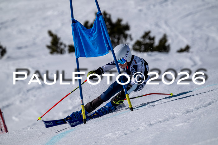 DSV - Actanol Deutscher Schülercup U12 Finale RSX 2026