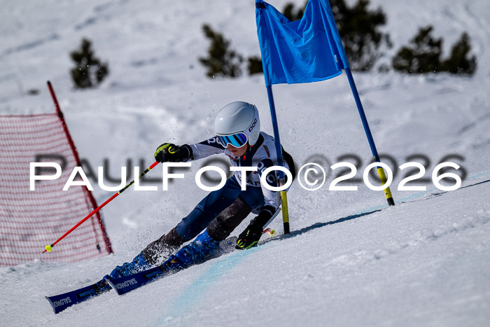 DSV - Actanol Deutscher Schülercup U12 Finale RSX 2026