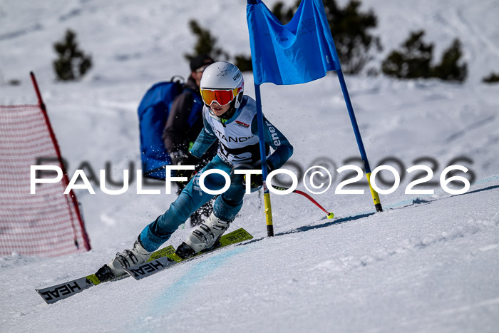 DSV - Actanol Deutscher Schülercup U12 Finale RSX 2026