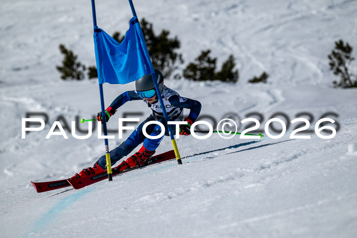 DSV - Actanol Deutscher Schülercup U12 Finale RSX 2026