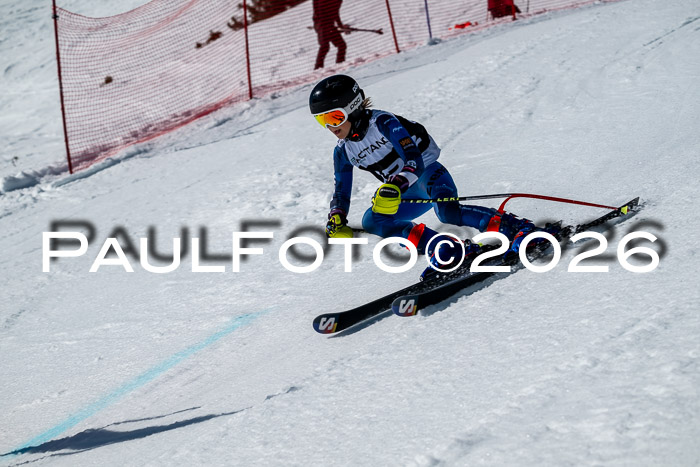 DSV - Actanol Deutscher Schülercup U12 Finale RSX 2026