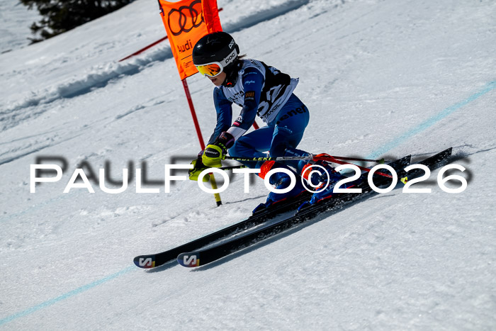 DSV - Actanol Deutscher Schülercup U12 Finale RSX 2026