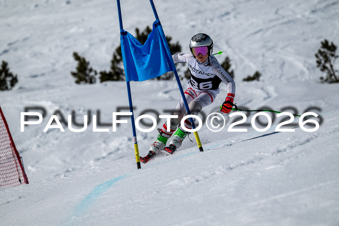 DSV - Actanol Deutscher Schülercup U12 Finale RSX 2026