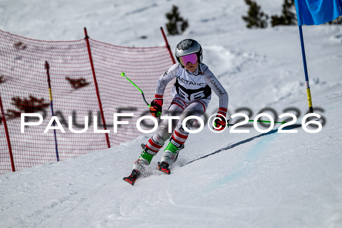 DSV - Actanol Deutscher Schülercup U12 Finale RSX 2026