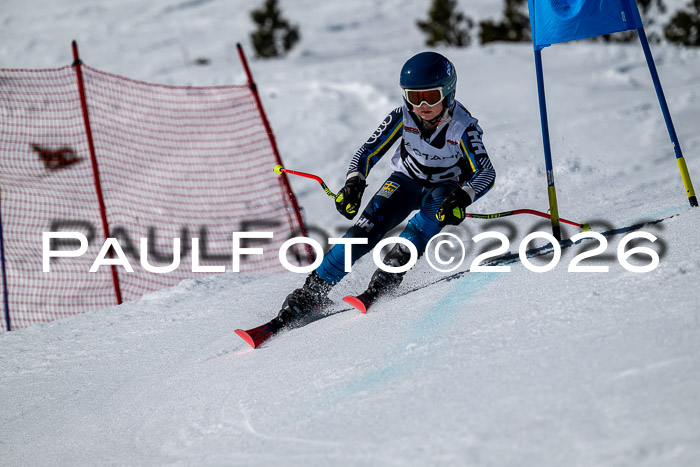 DSV - Actanol Deutscher Schülercup U12 Finale RSX 2026