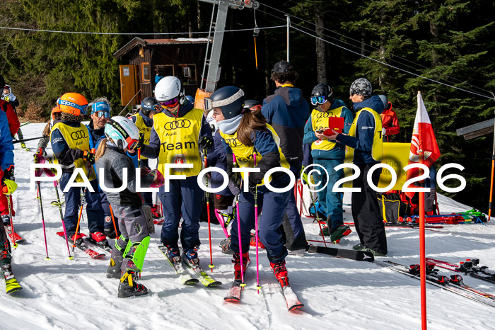 DSV - Actanol Deutscher Schülercup U12 Finale SLX 2026