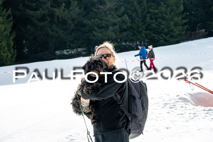 DSV - Actanol Deutscher Schülercup U12 Finale SLX 2026