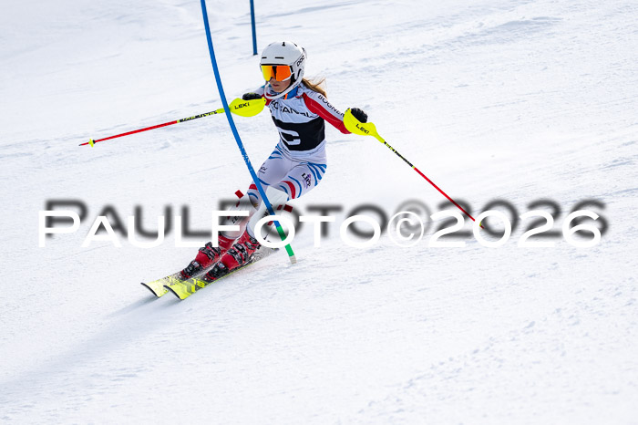 DSV - Actanol Deutscher Schülercup U12 Finale SLX 2026