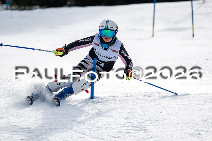 DSV - Actanol Deutscher Schülercup U12 Finale SLX 2026